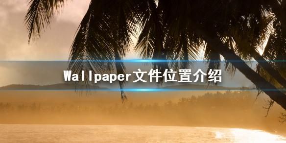 wallpaper下载的文件在哪-wallpaper文件下载位置