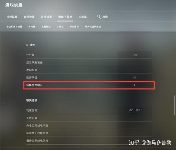 csgo控制台打不了字