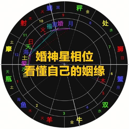 准了app怎么看婚神星-准了app查看婚神星方法