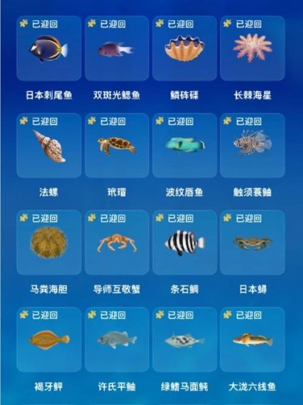以下哪种海洋鱼类会利用工具打开食物-支付宝神奇海洋10月16日答案2023