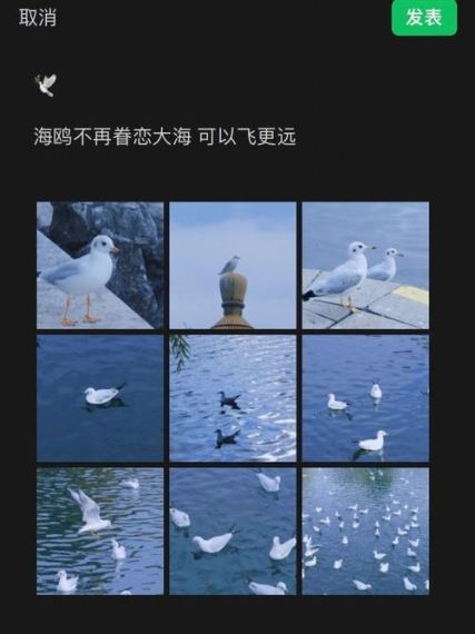 海鸥app怎么撤回消息-海鸥聊天撤回消息方法