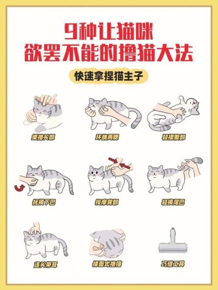 遇见喵克斯猫咪体力怎么恢复