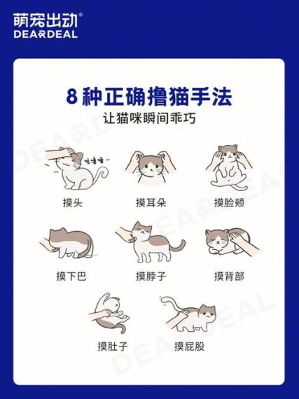 遇见喵克斯猫咪体力怎么恢复