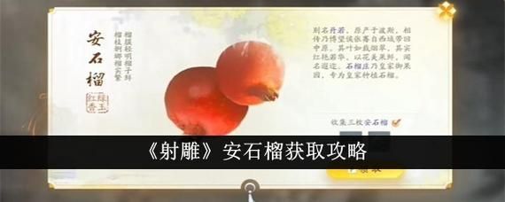 射雕手游安石榴在哪