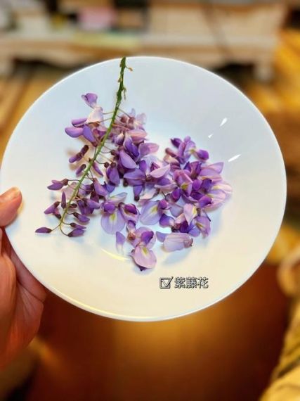 《射雕》紫藤花饼收集