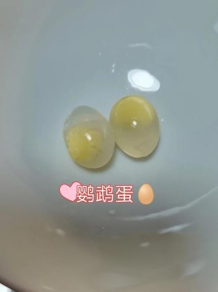 我的世界鹦鹉蛋怎么做