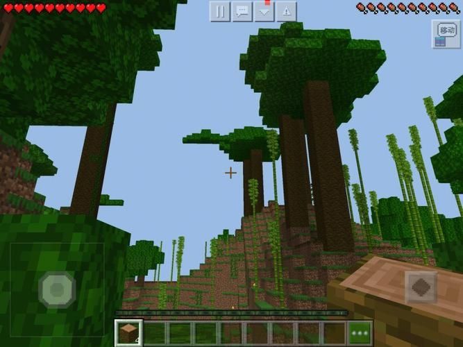 我的世界怎么种出高大的从林木