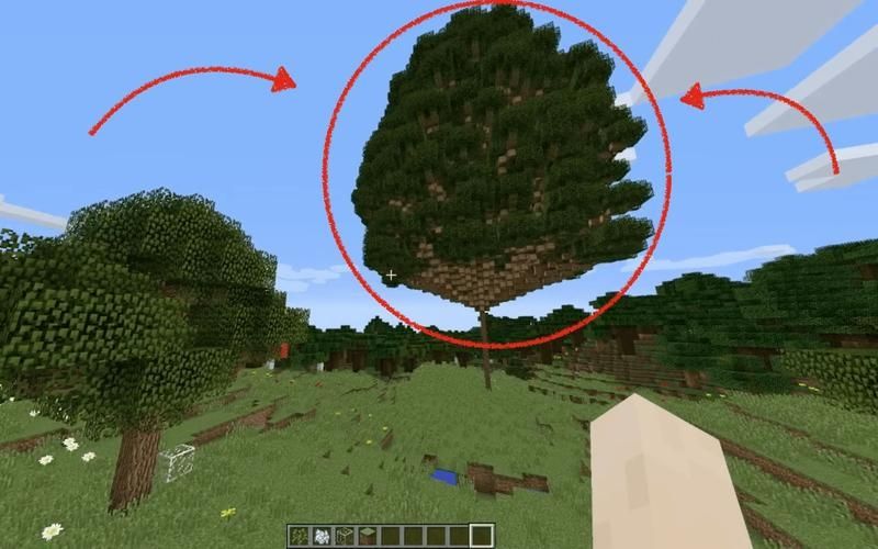 我的世界怎么种出高大的从林木