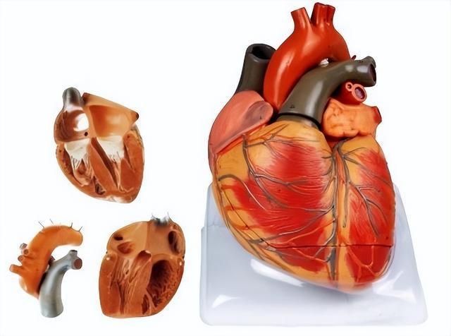 《文字脑洞》心脏移植怎么过_选择将心脏移植给谁通关图文攻略
