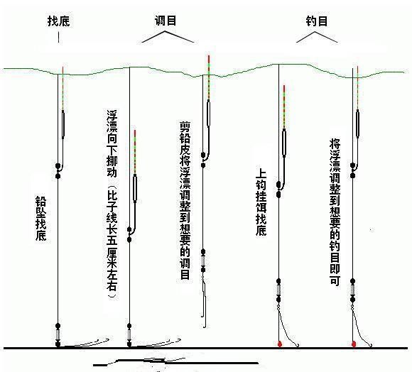 东江湖钓鱼攻略：掌握技巧，轻松成为钓鱼高手！