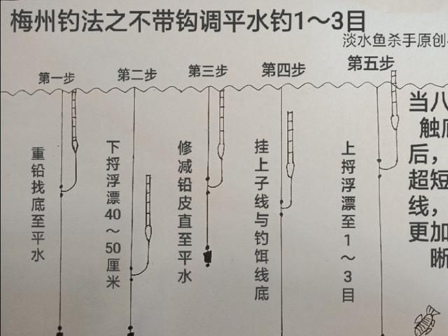 东江湖钓鱼攻略：掌握技巧，轻松成为钓鱼高手！