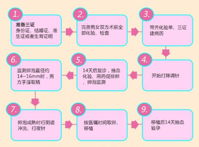 试管攻略：从入门到精通，轻松实现生育梦想