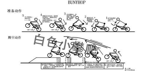 2019自行车特技游戏攻略如何掌握极限自行车特技