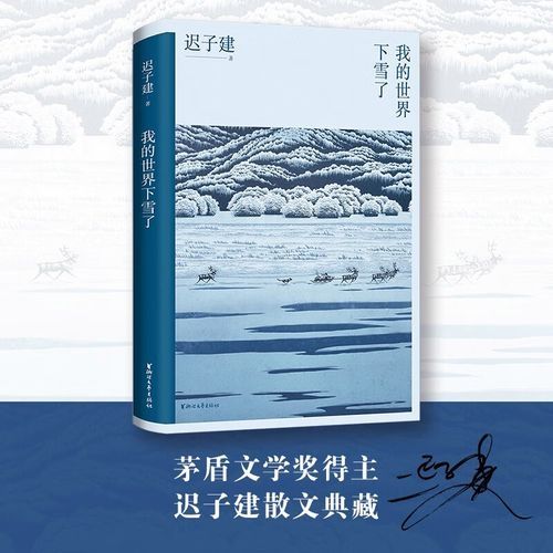 我的世界怎么改下雪