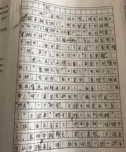 玩王者荣耀作文400