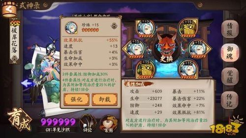 阴阳师新版花鸟卷御魂怎么搭配