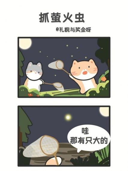 阴阳师萤火虫怎么抓