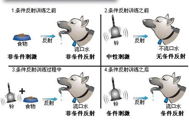 梦幻西游抓大力原理