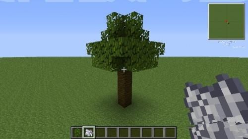 我的世界怎么种丛林树高