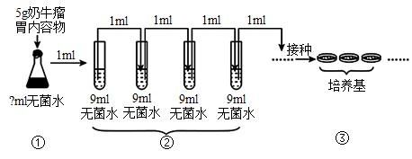 游乐园南河 村里的屠宰师父在牛的瘤胃里面发现了一只手臂