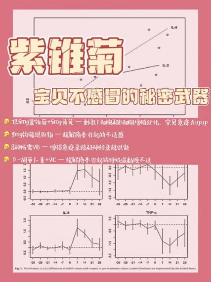 艾兰岛 水下呼吸制剂教学