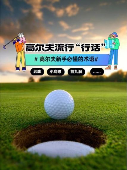 纳米高尔夫   利用自己高超的头脑将高尔夫球精确的击打入洞吧