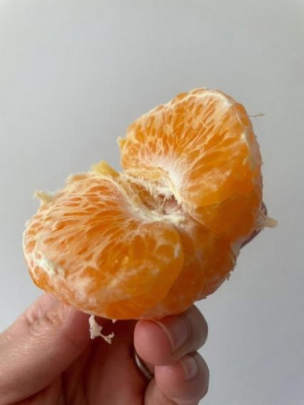 保护橘子2 伟大旅程 逐渐不同的物体有内置的保护罩保护你的橙子