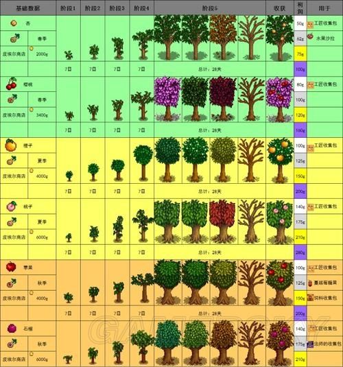 星露谷物语苹果树怎么种