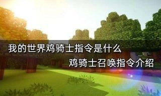 我的世界怎么召唤鸡骑士视频