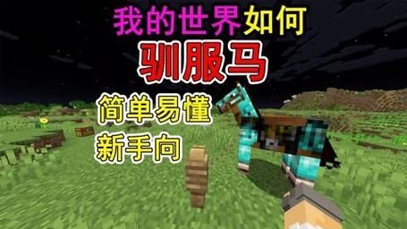 我的世界怎么改无敌马