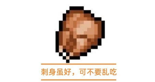 我的世界生存模式怎么烤熟鸡肉