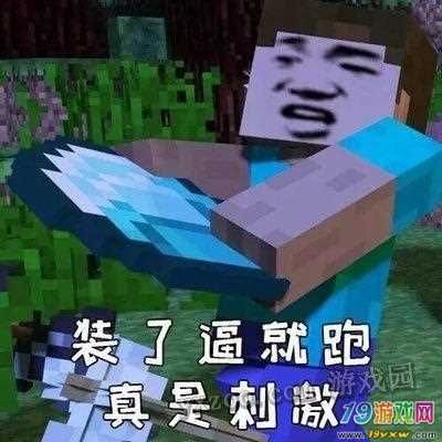 我的世界游戏怎么打表情