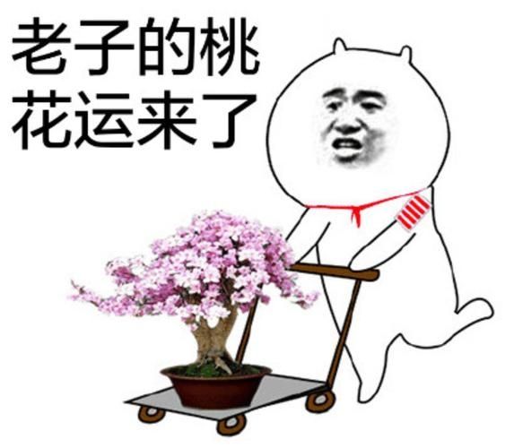 我的世界神秘怎么找邪术祭坛