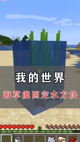 我的世界1.13海草怎么获得