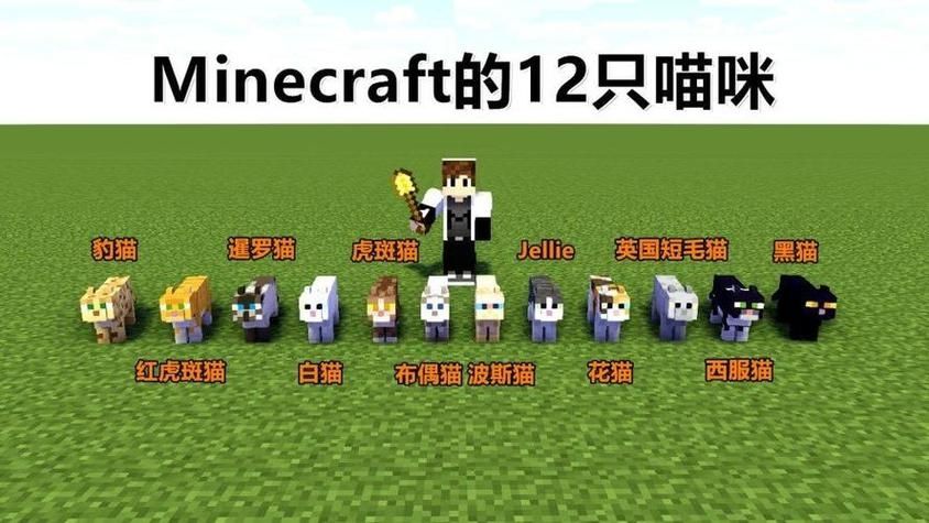 我的世界1.13猫怎么驯服