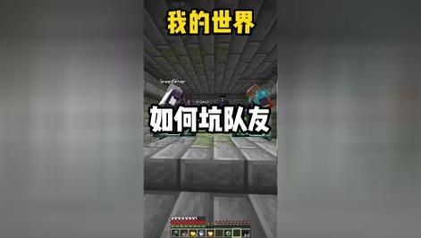 我的世界怎么队伍打不了队友