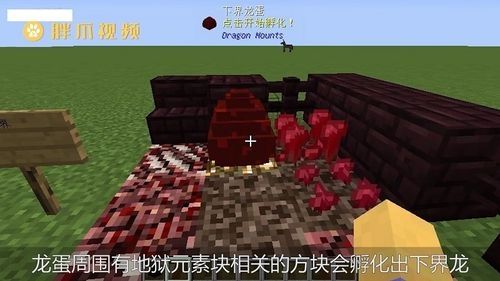 我的世界龙蛋mod怎么安装