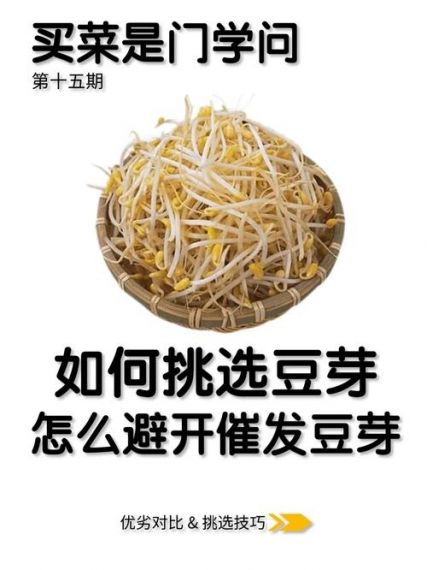 我的世界豆芽怎么找