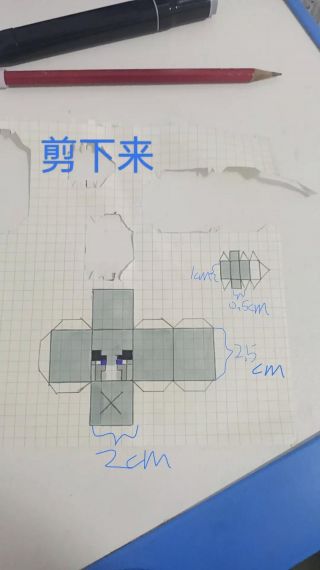 我的世界怎么强制把东西戴头上