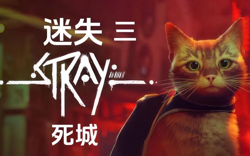 迷失stray多少钱