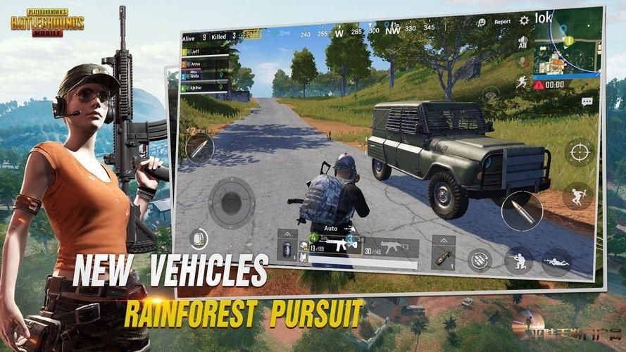 pubgtool免费版无广告版v1.1