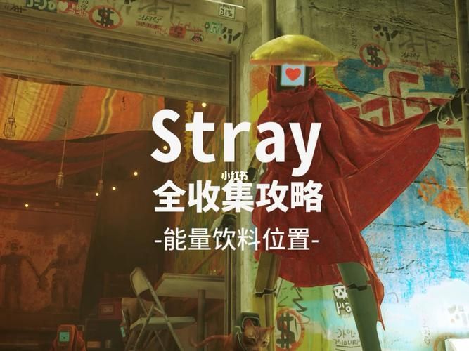 stray能量饮料在哪里