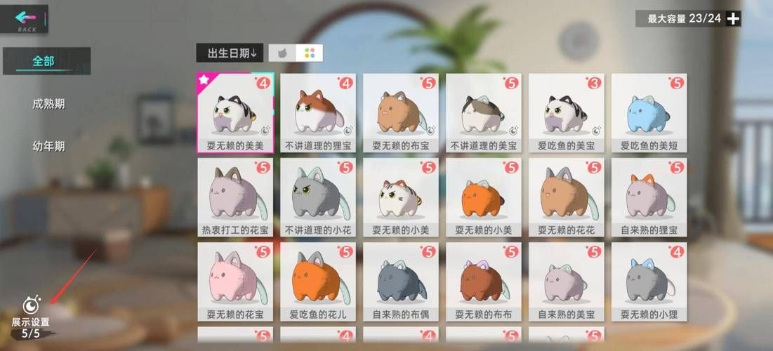 猫之城猫球测试怎么选