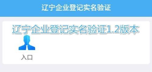 辽宁企业登记实名验证APP最新版v1.2