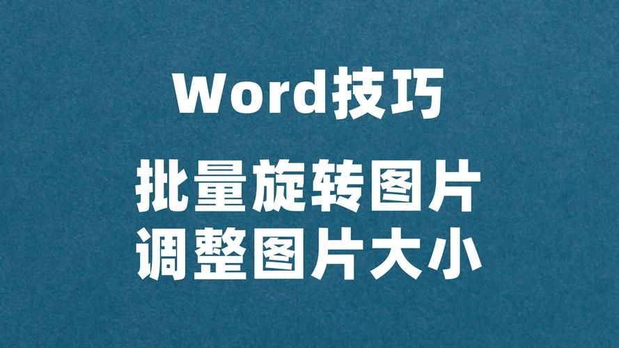 Word文档怎么批量修改图片大小？Word批量调整图片大小方法