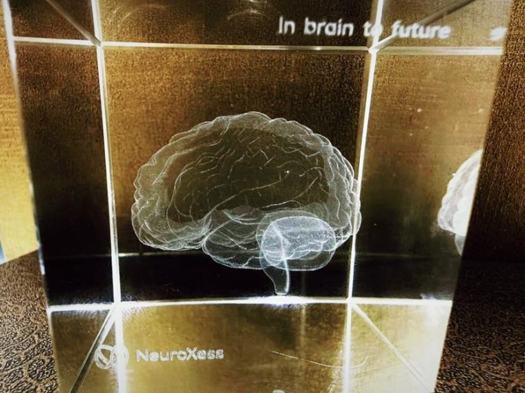 脑虎科技彭雷:投资热潮下的脑机接口更需行稳方能致远