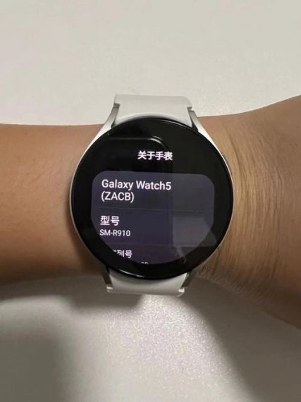 美好生活从“星”开始 用三星Galaxy Watch5系列解锁新体验