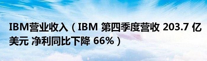 IBM第四季度获得营收167亿美元 净利润27.11亿美元