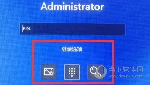 Win11登录选项默认登录方式怎么设置？