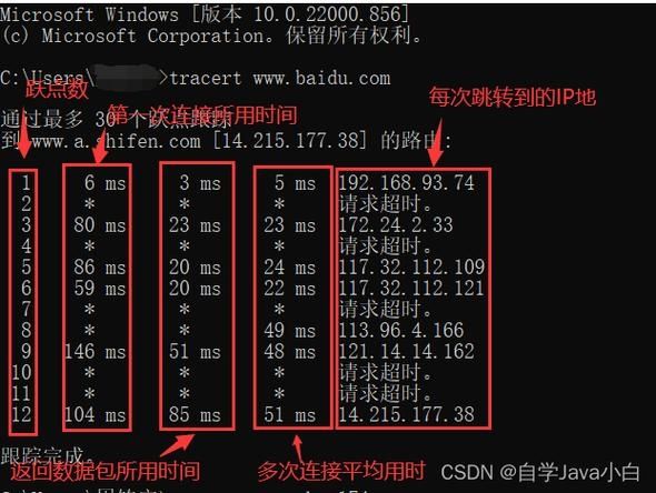 Win11系统tracert命令怎么使用？Win11系统tracert命令使用教程